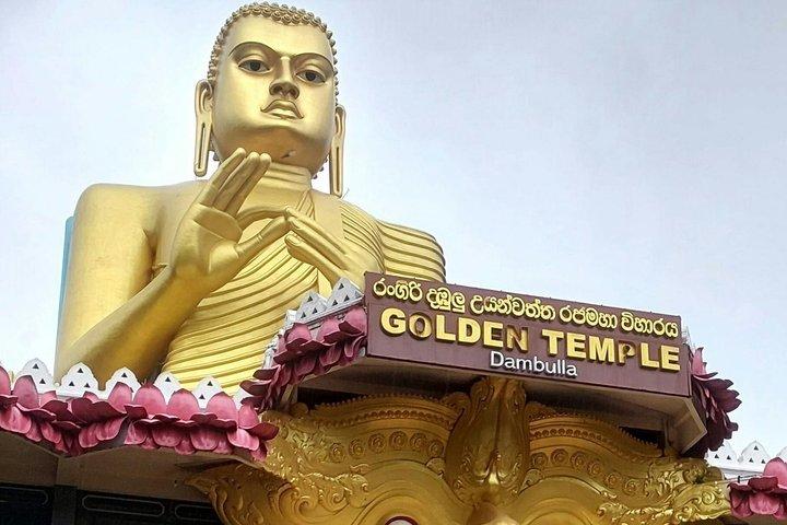 Colombo/Negombo : tour privato di Sigiriya Dambulla Minneriya Safari