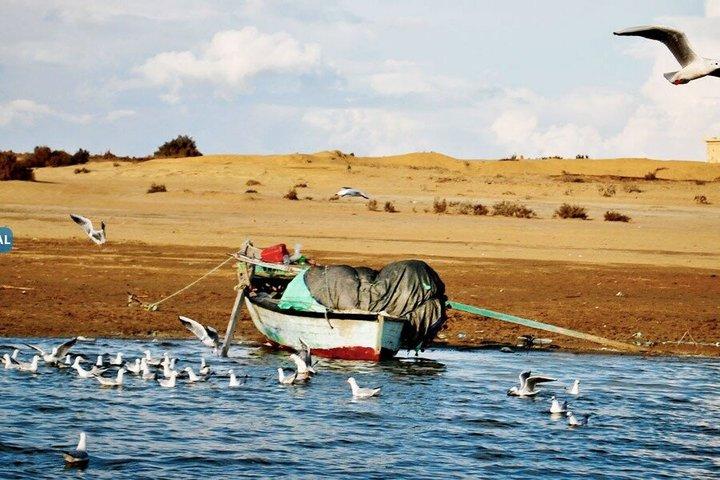 Fayoum Desert Escape Safari Sandboarding e pranzo