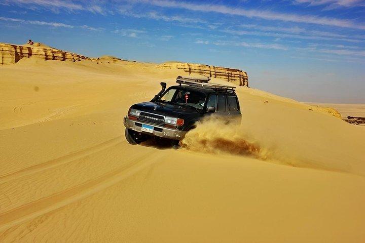 Safari d'évasion dans le désert du Fayoum