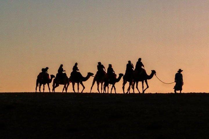 Quad Bike and Camel Ride in Marrakech Palm Groves with Sunset