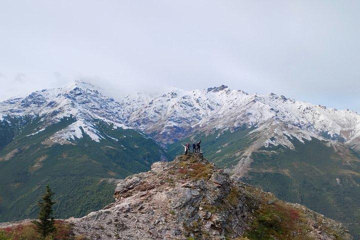 Denali 5 Hour Hiking Tour with Naturalist Guide