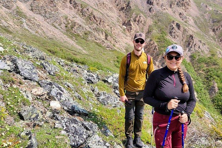 Denali 4 Hour Hiking Adventure with Naturalist Guide
