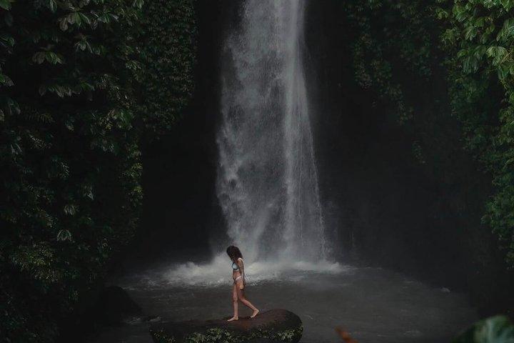 Cascate nascoste di Bali (privato e all-inclusive)