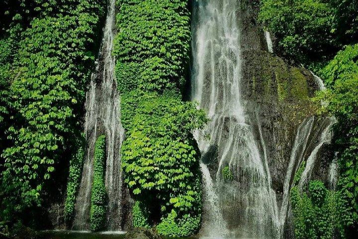 Cascate nascoste di Bali (privato e all-inclusive)