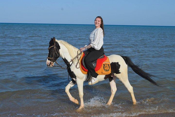 Hurghada Beach Desert Paardrijervaring