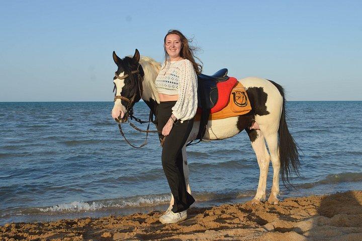 Hurghada Beach Desert Paardrijervaring
