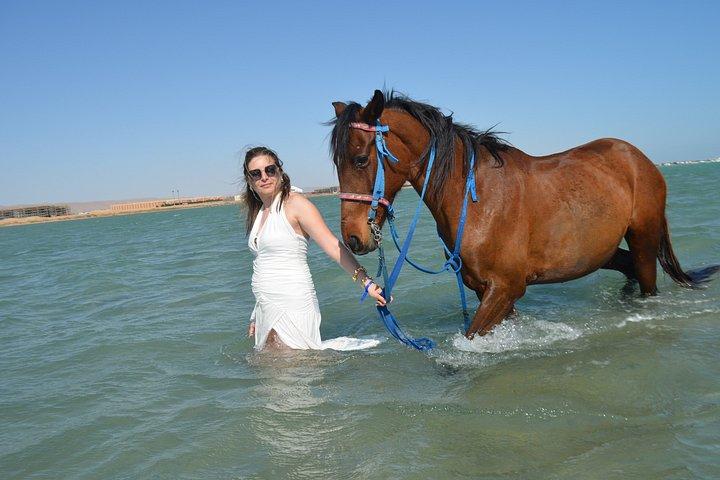 Hurghada Beach Desert Paardrijervaring