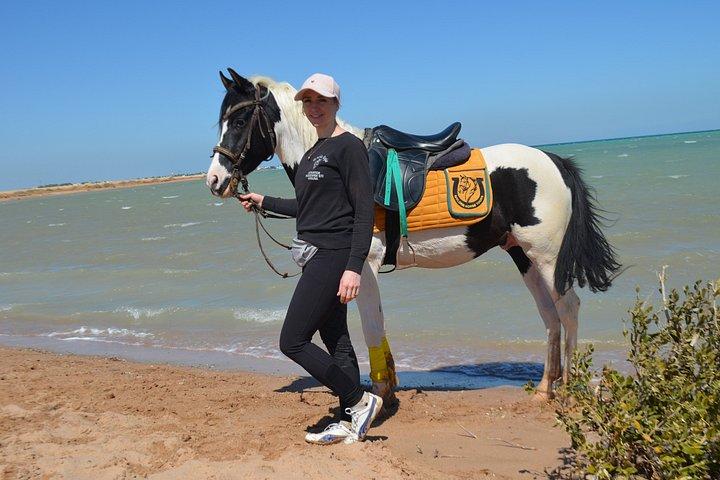 Hurghada Beach Desert Paardrijervaring