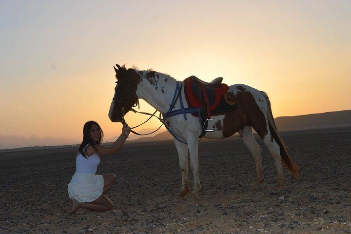 Hurghada Beach Desert Paardrijervaring