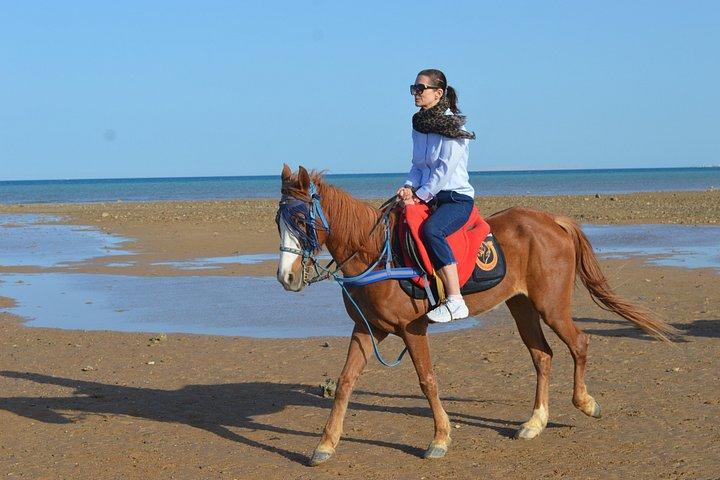 Hurghada Beach Desert Paardrijervaring
