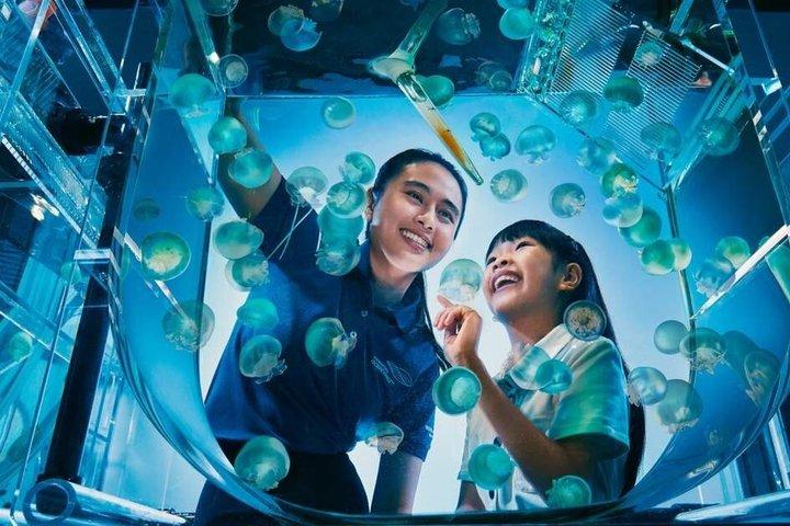 Singapur Oceanarium Eintrittskarte