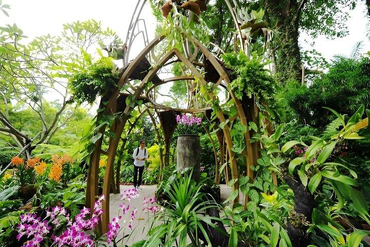Bird Paradise Singapore Entrada