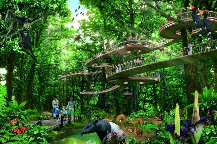 Billet til Rainforest Wild Asia