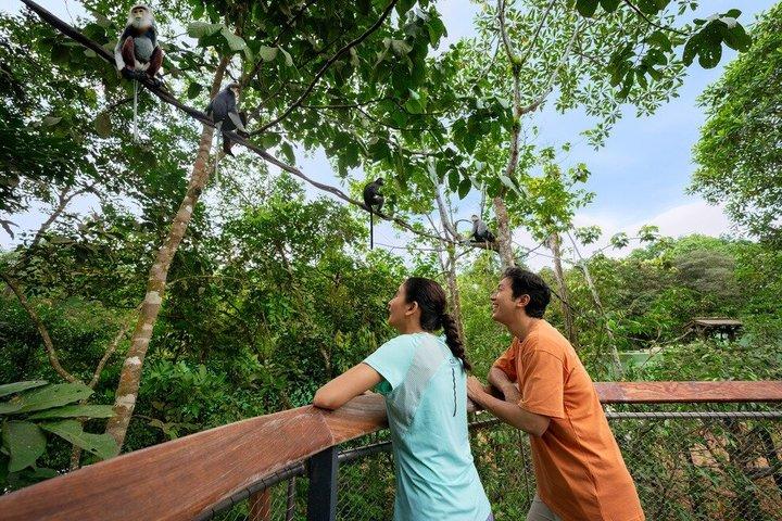 Billet til Rainforest Wild Asia