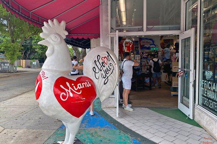 リトル・ハバナとウィンウッド停留所のあるマイアミ市内観光