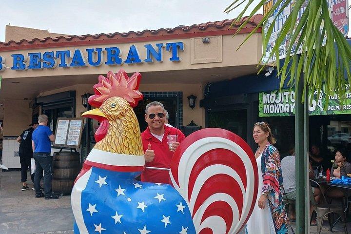 リトル・ハバナとウィンウッド停留所のあるマイアミ市内観光