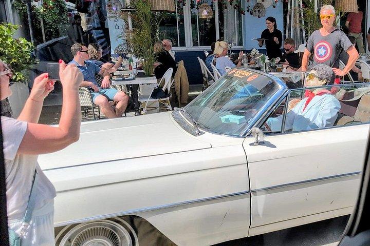 リトル・ハバナとウィンウッド停留所のあるマイアミ市内観光