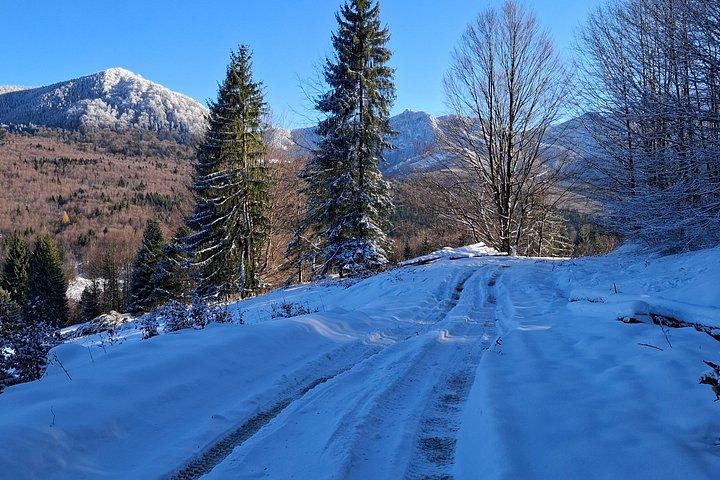 Brașov - Private Jeep Off-Road Adventure