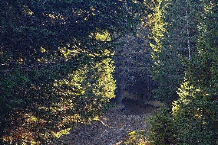Brașov - Private Jeep Off-Road Adventure