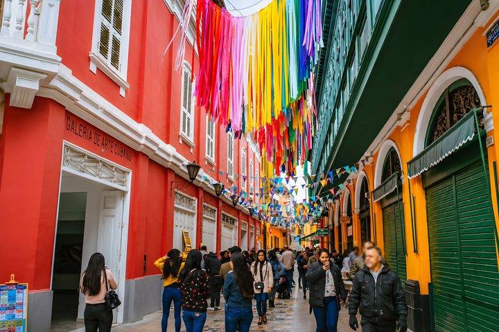 Excursion privée d'une journée à Lima