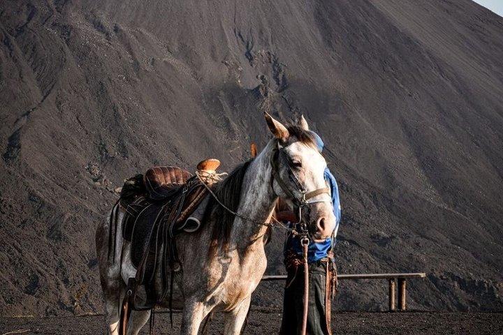 Pacaya Volcano Hike (mezza giornata)