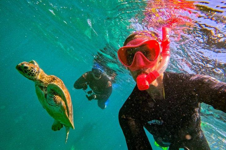 Whitehaven Beach Tour: 2 Optionen - Ganztägig Strand oder Schnorcheln