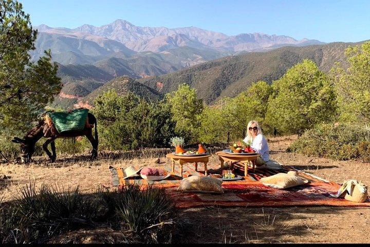 Ourika Valley Waterfalls Hike & Berber Villages Tour + Lunch