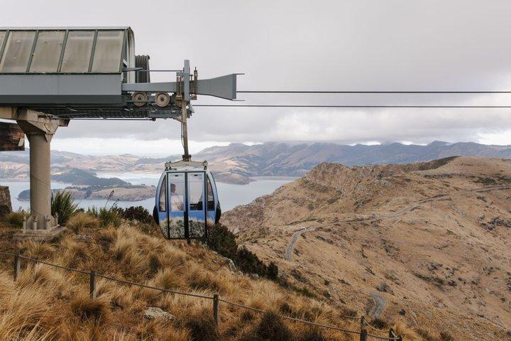 Lyttelton Shore Excursion City Highlights mit 3 besten Attraktionen