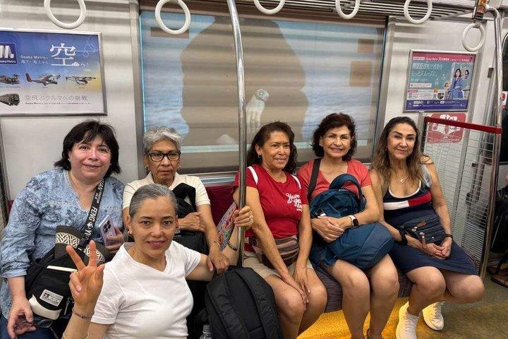 奈良（スペイン語）：大阪または京都からの送迎付きプライベートツアー