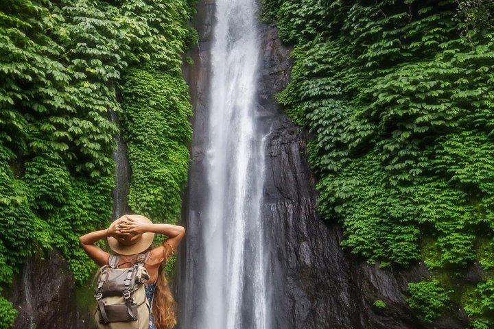 ウブドプライベートツアー：現地エキスパートによるオールインクルシブ