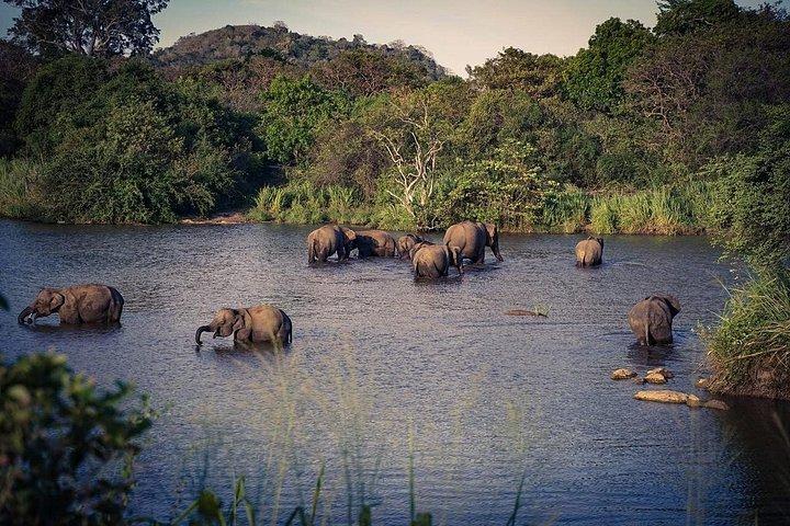 ミネリヤ国立公園ジープサファリアドベンチャー