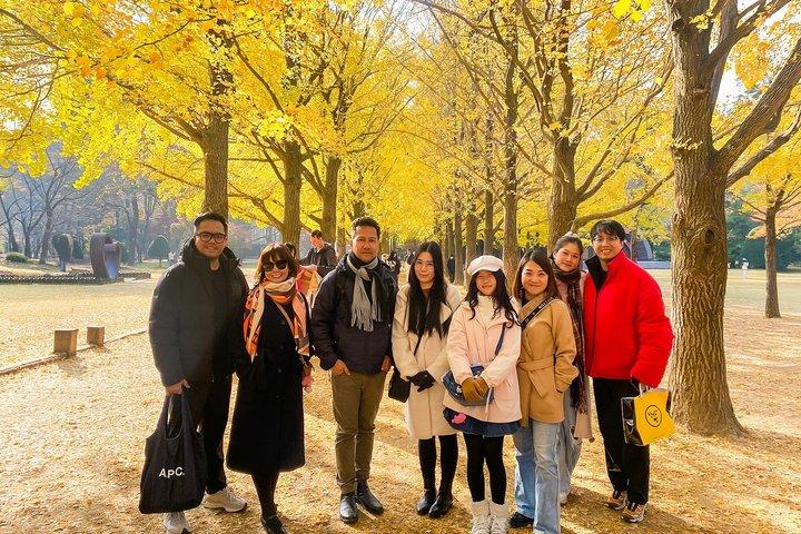 Nami Island och Cafe Pokpo och dolda höstlövverk från Seoul