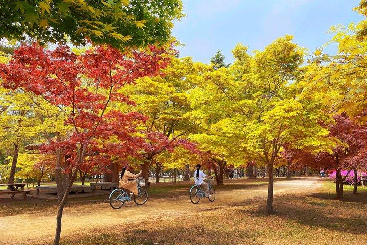 Nami Island e Cafe Pokpo e fogliame autunnale nascosto da Seoul