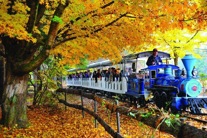 Nami Island e Cafe Pokpo e fogliame autunnale nascosto da Seoul