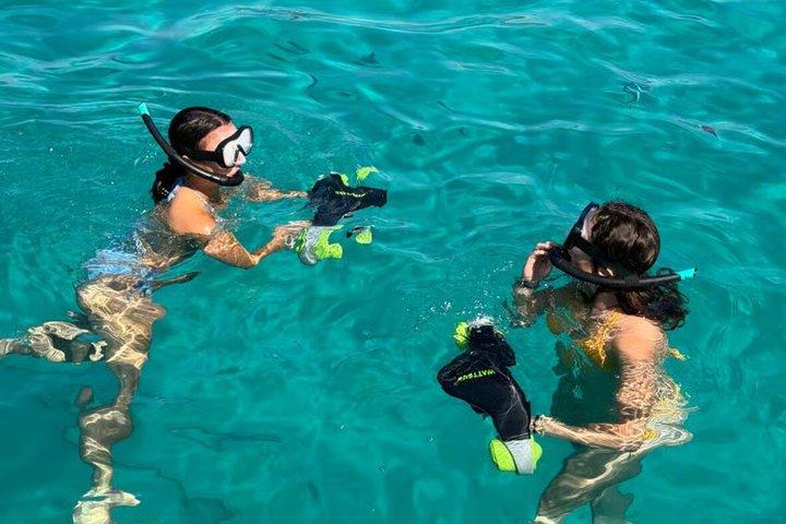 パルマ湾周辺のチャーターボートツアー：シュノーケリングとパドルサーフィン