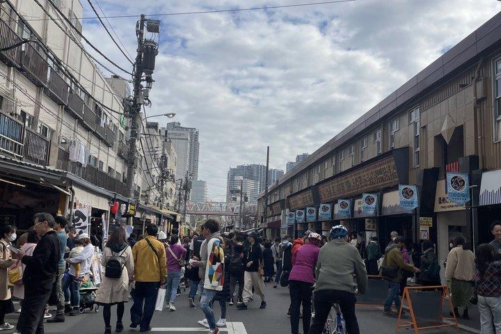 東京歴史自転車ツアー - 必見の旧市街を発見しよう