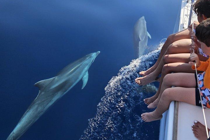 Marbella Sunset From Sailboat Dolphins with Drinks Snack Elan com