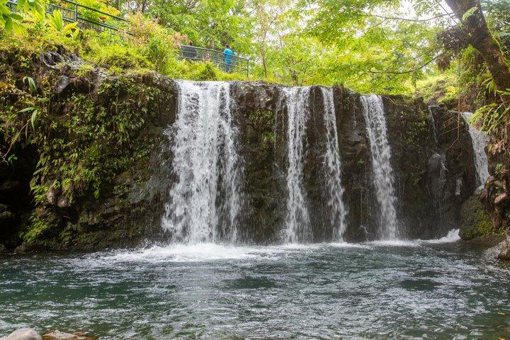 送迎付きハナツアー半日プライベートロード