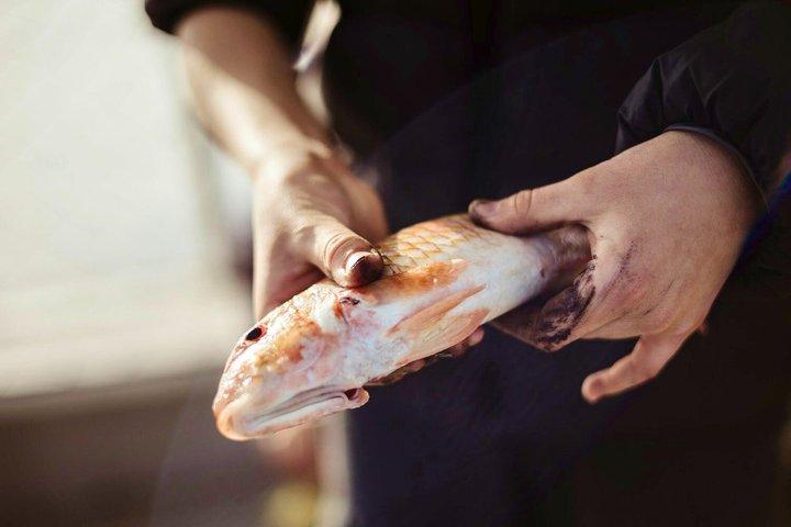 グリファダアテネ釣りとシュノーケリングボートツアー（ランチ付き）