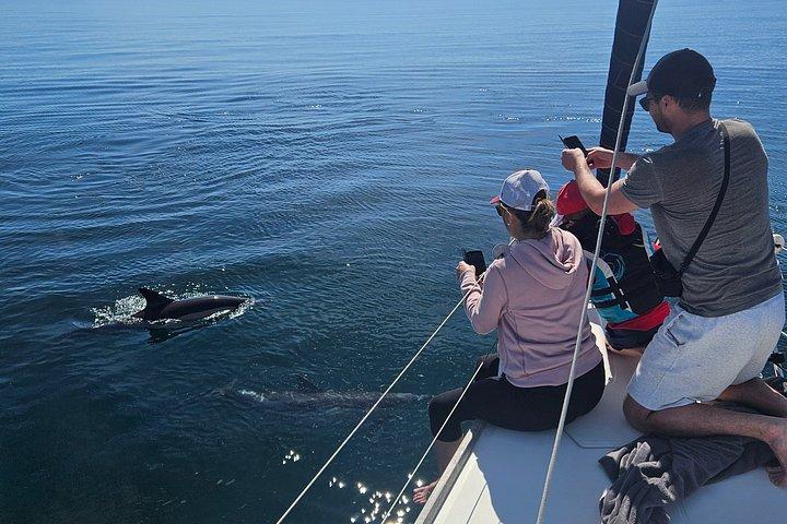 Shared tour Marbella dolphins drinks snack. luxe dufour412