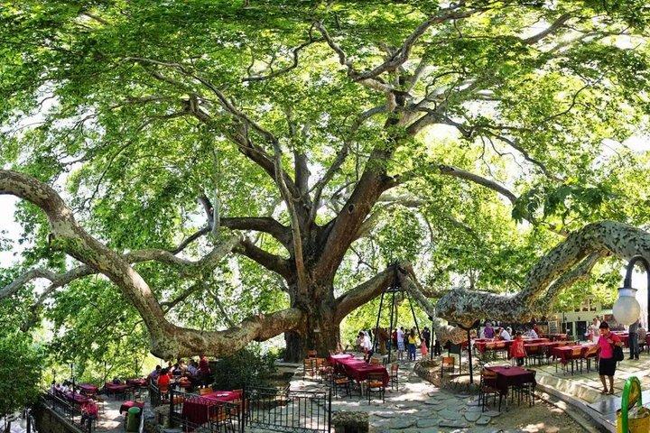 From Istanbul: Bursa & Mt Uludag – Ferry Incl. Cable Car Opt.