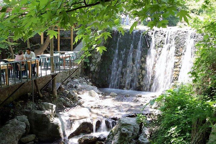 From Istanbul to Sapanca Daily Tour