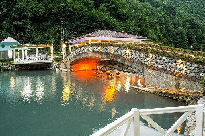From Istanbul to Sapanca Daily Tour