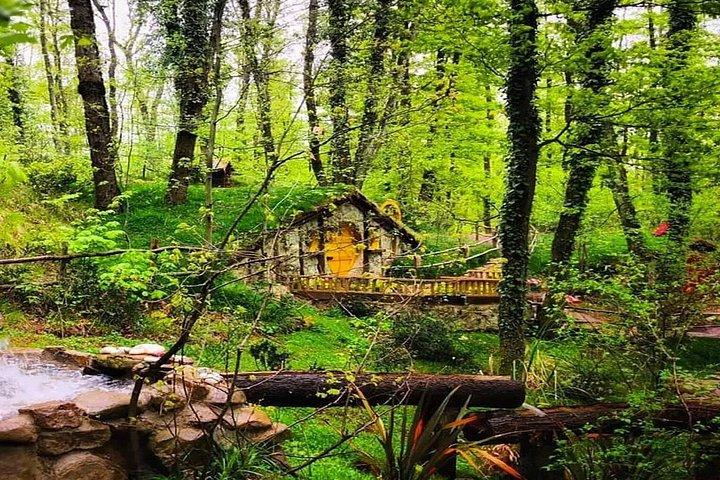 From Istanbul to Sapanca Daily Tour