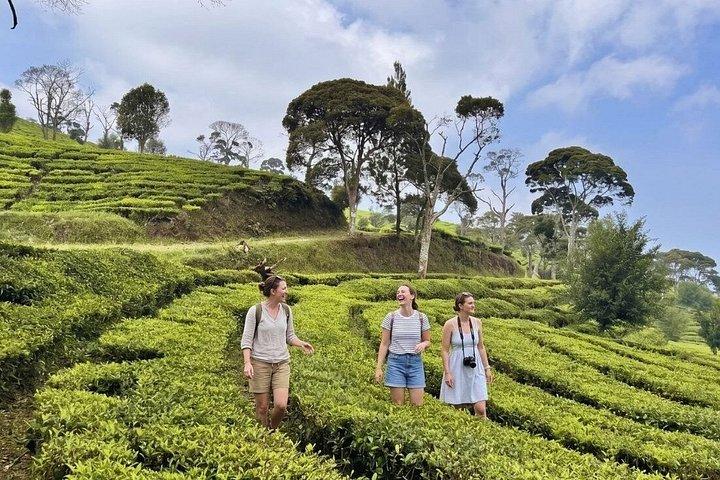 ジャカルタからバンドンへ：Culg Cimahi, Dusun Bambu & Whoosh