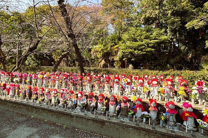 横浜のエキスパートパートガイドと行く1D東京プライベートウォーキングツアー
