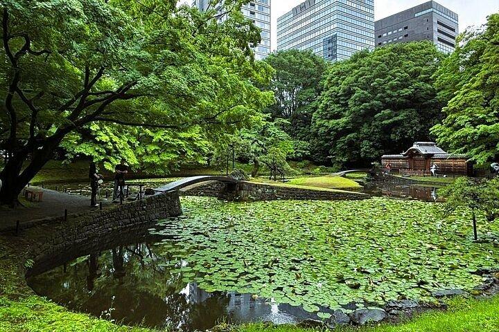 横浜のエキスパートパートガイドと行く1D東京プライベートウォーキングツアー