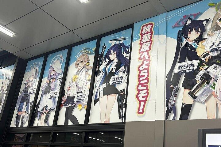 横浜のエキスパートパートガイドと行く1D東京プライベートウォーキングツアー
