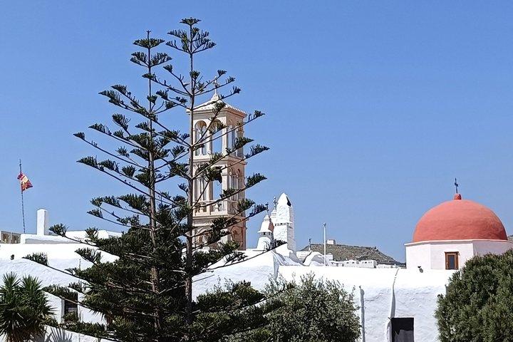 Private Mykonos Sightseeing Experience with a Local