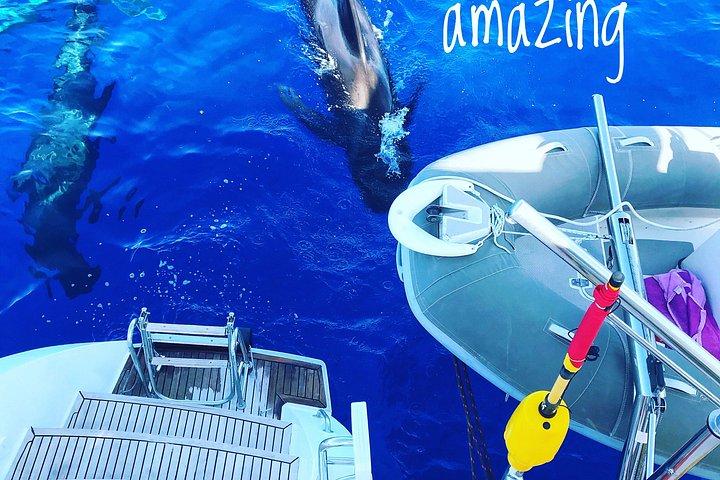 Private Charter On Our Luxury Catamaran